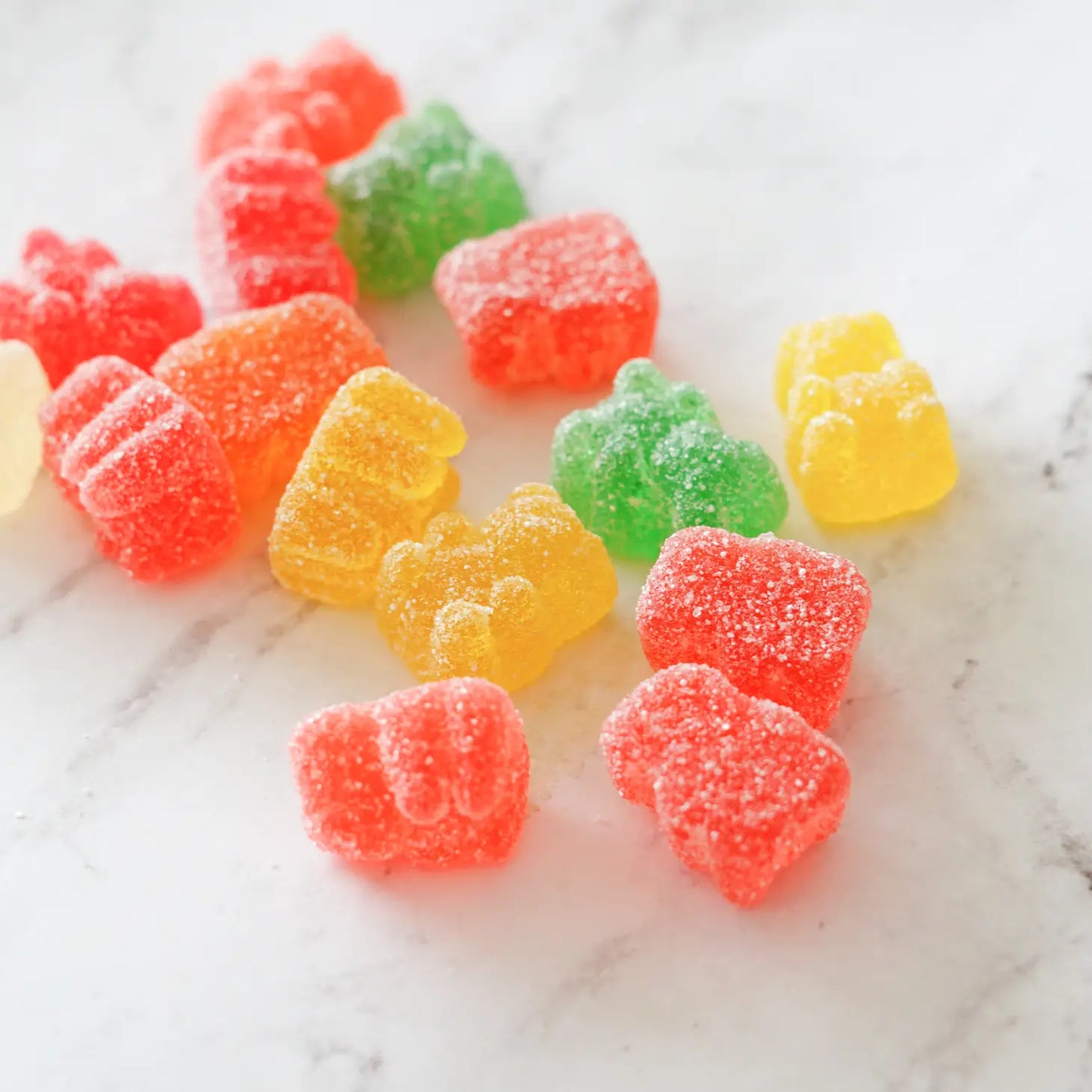 C'est BONBON - ours polaire