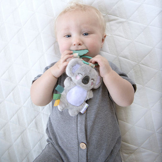 Peluche et anneau de dentition Itzy Pal™ : Koala